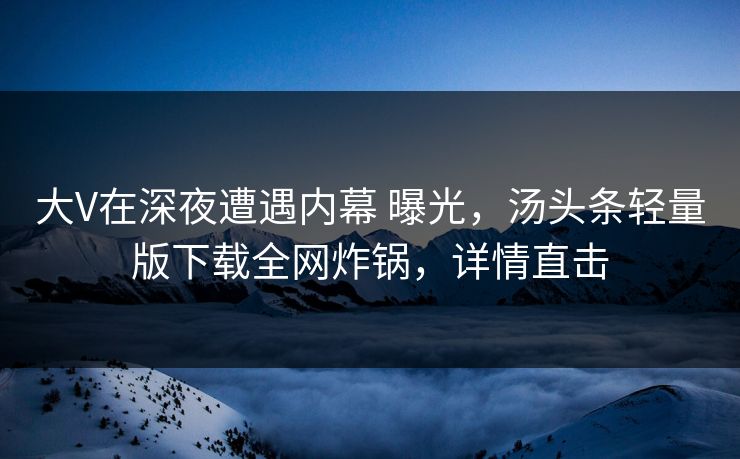 大V在深夜遭遇内幕 曝光，汤头条轻量版下载全网炸锅，详情直击