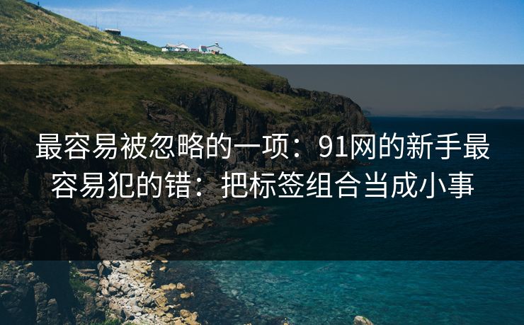 最容易被忽略的一项：91网的新手最容易犯的错：把标签组合当成小事