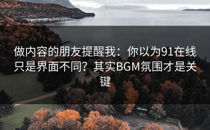 做内容的朋友提醒我：你以为91在线只是界面不同？其实BGM氛围才是关键